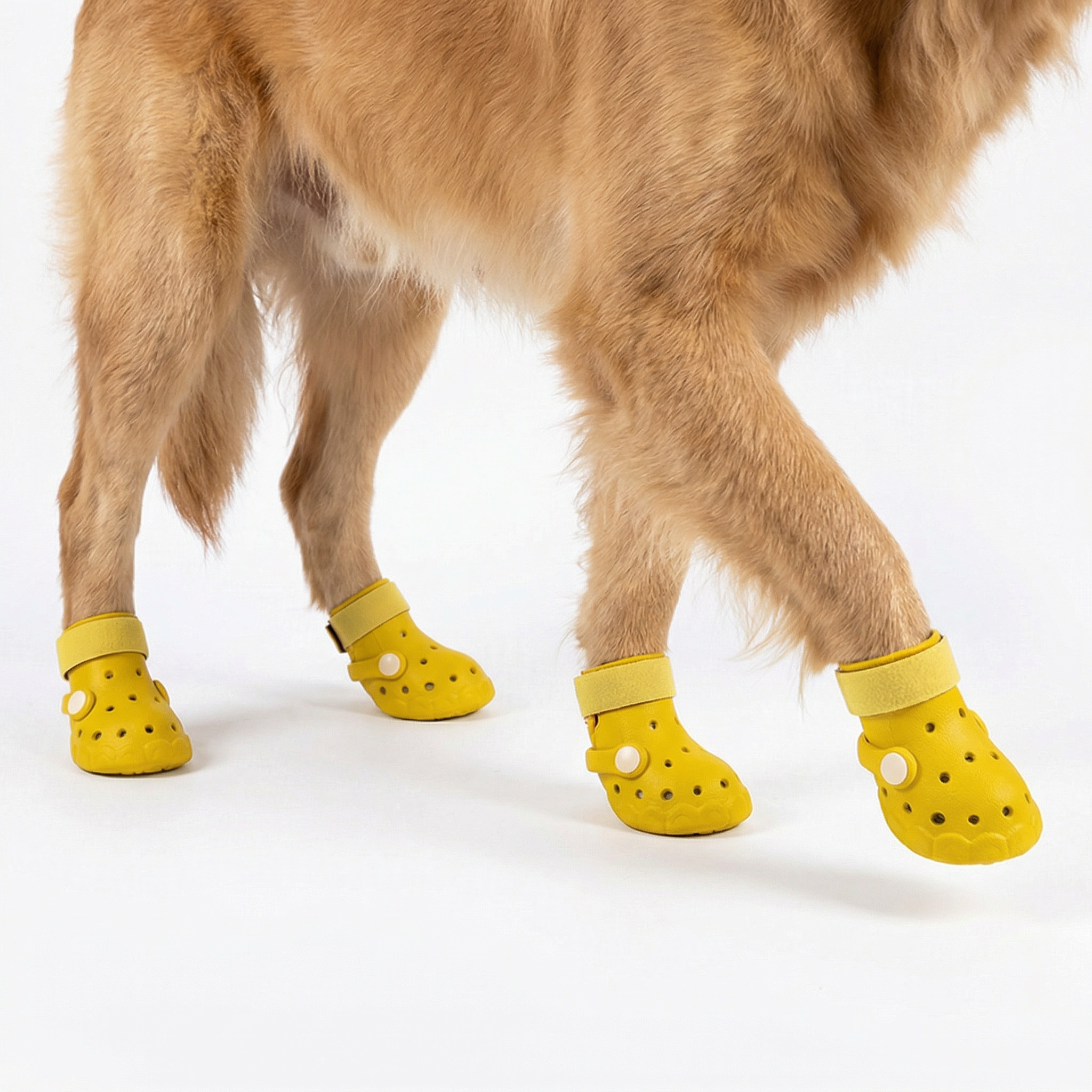 Pawmate Protect Clogs (4 Pack)