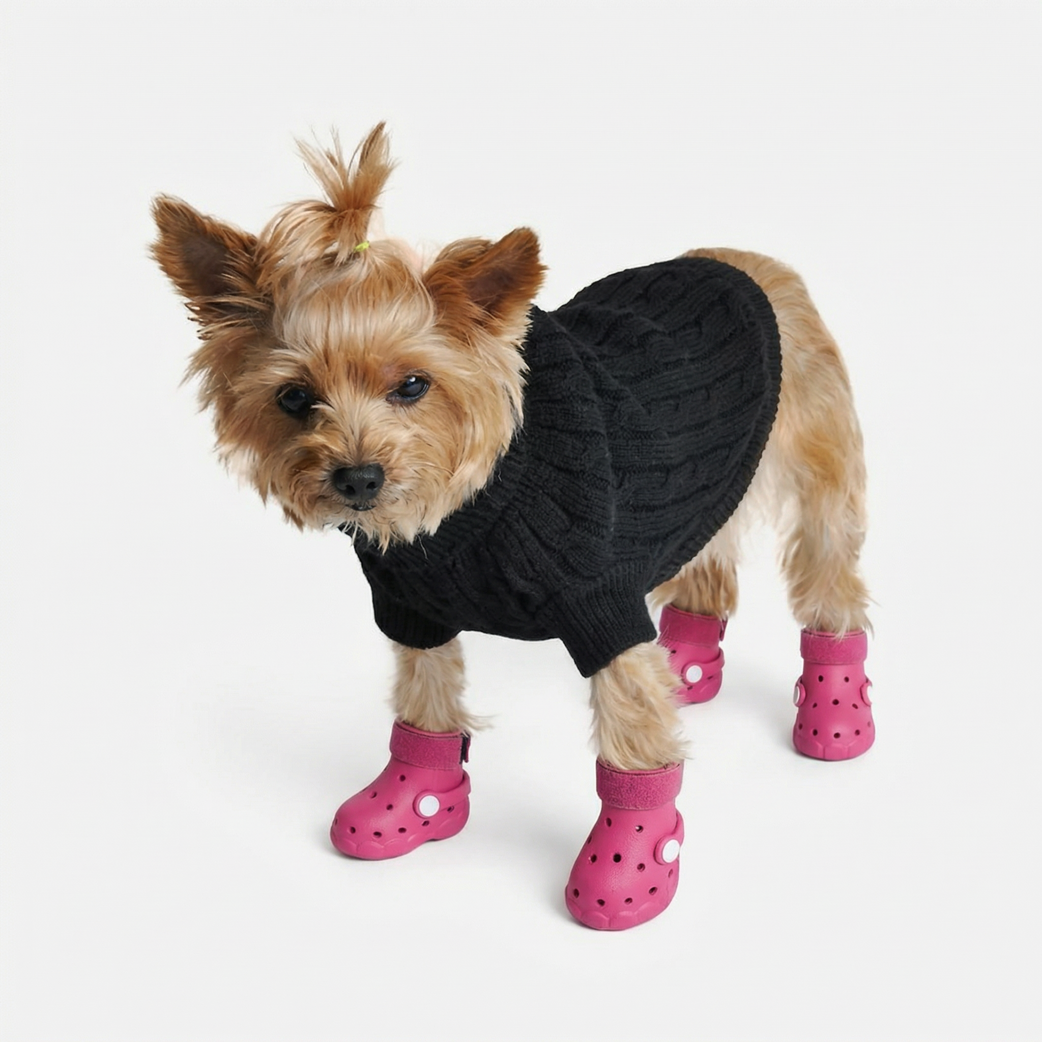 Pawmate Protect Clogs (4 Pack)