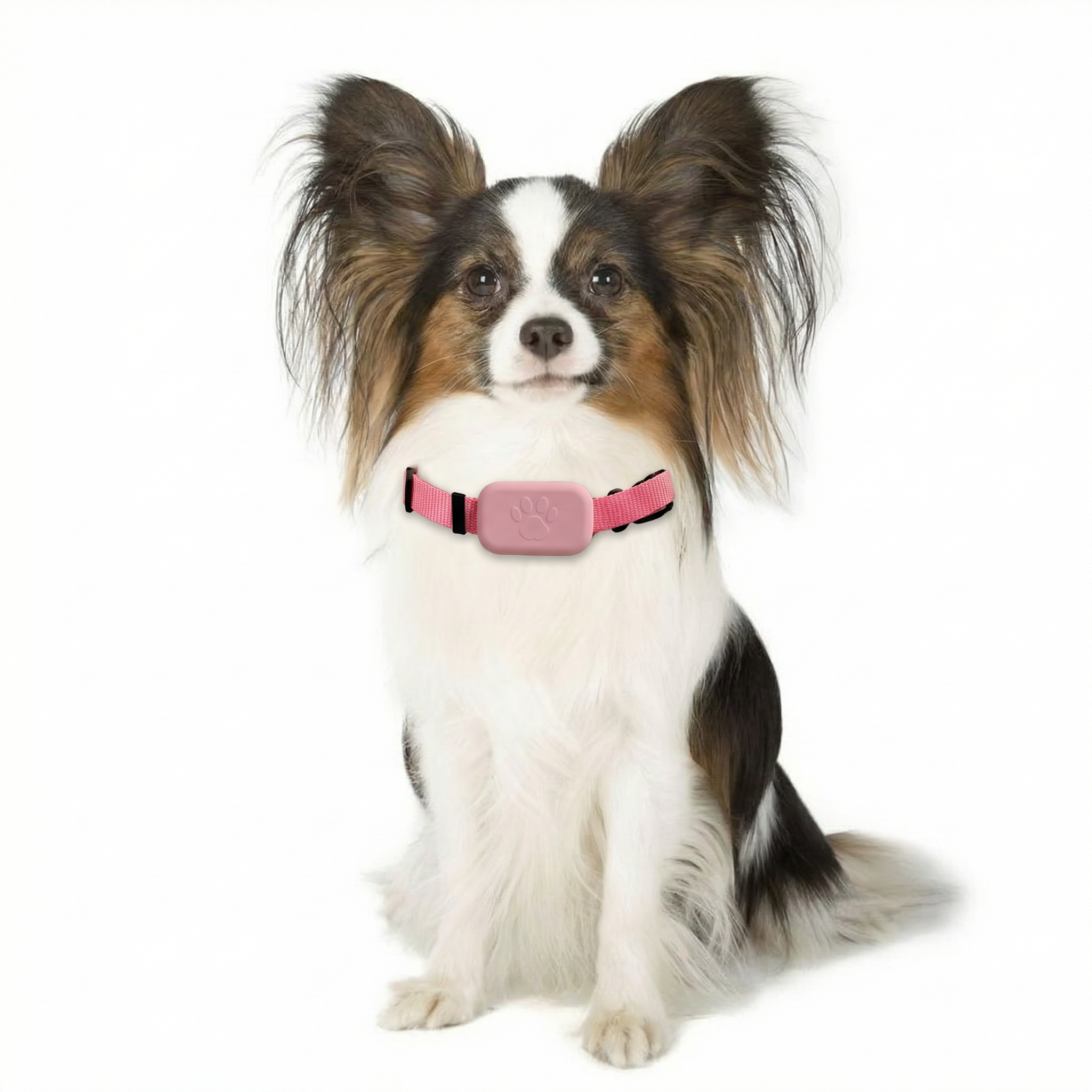 Pawmate GPS Collar