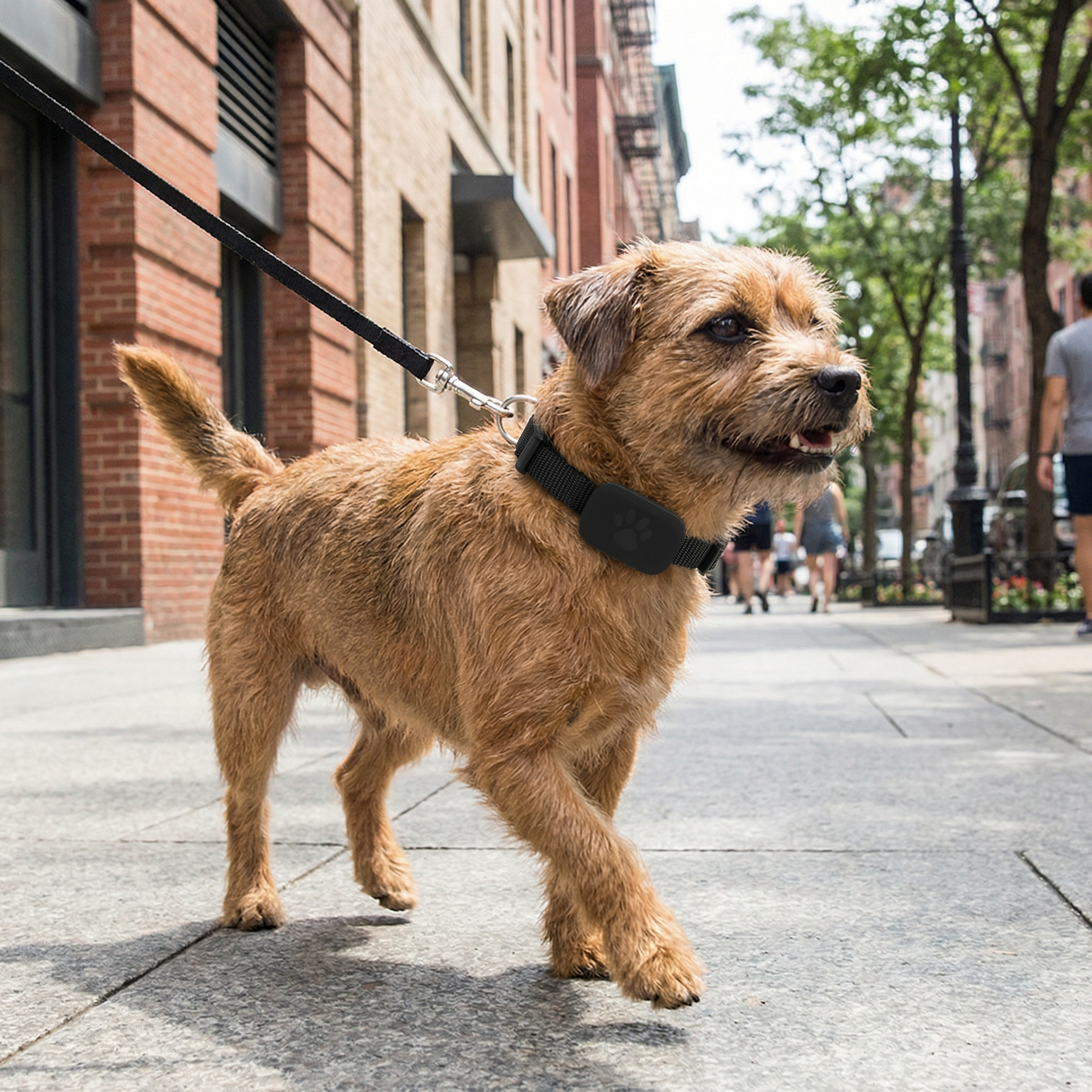 Pawmate GPS Collar