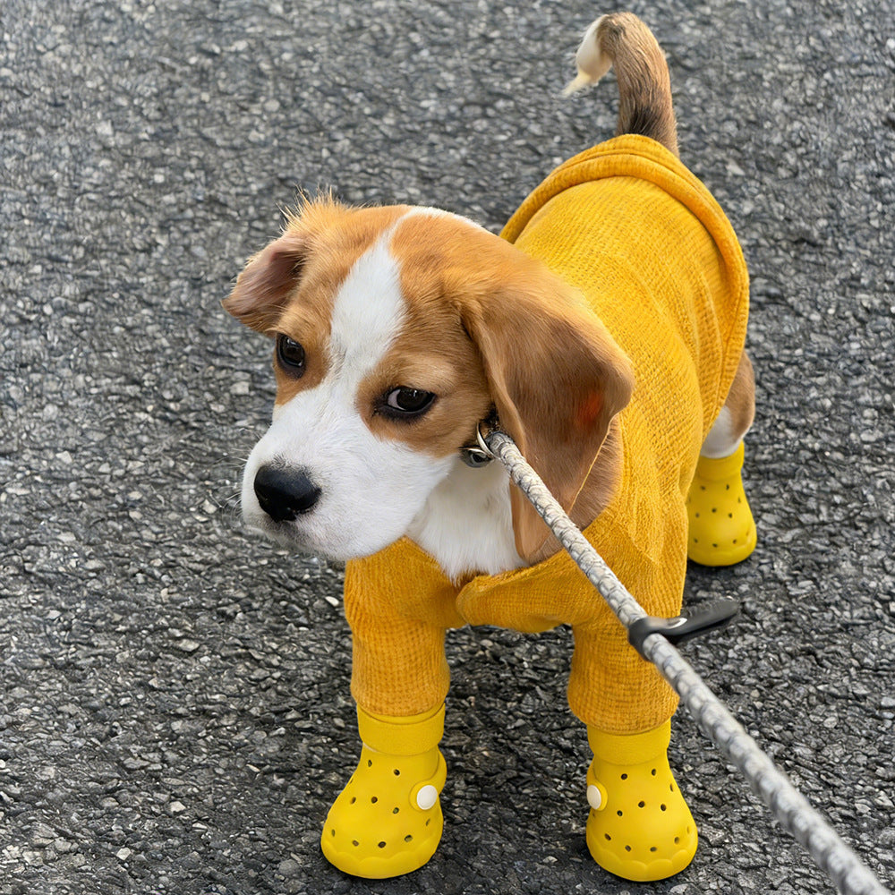 Pawmate Protect Clogs