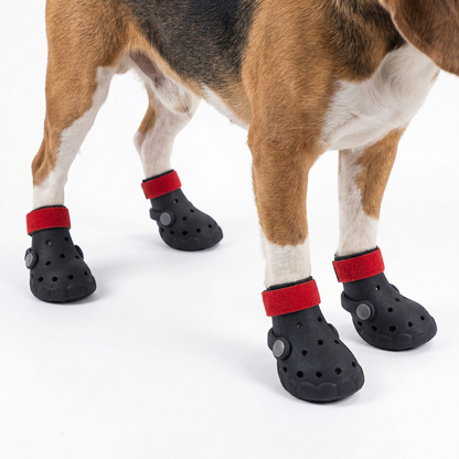 Pawmate Protect Clogs