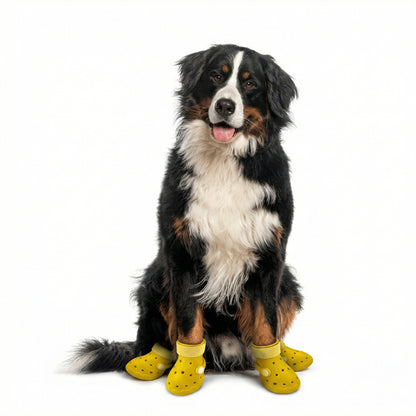 Pawmate Protect Clogs