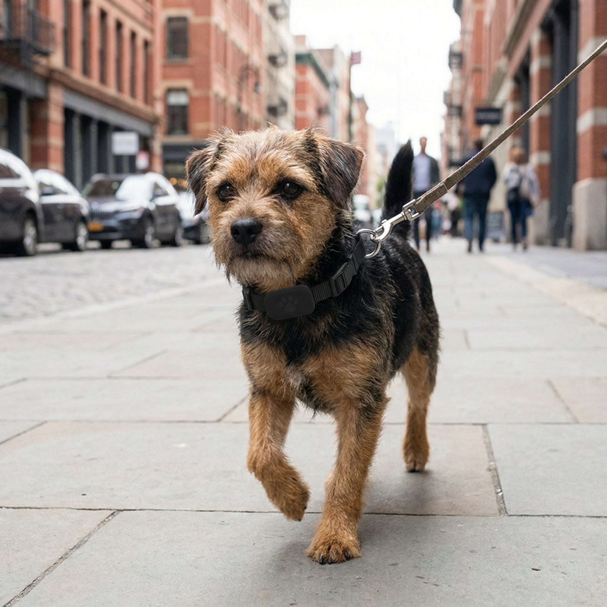 Pawmate GPS Collar